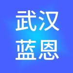 武汉蓝恩新能源汽车产业发展股份有限公司
