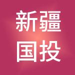 新疆国投鼎兴实业有限责任公司