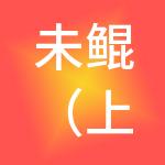 未鲲（上海）科技服务有限公司