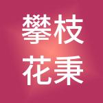 攀枝花秉扬科技股份有限公司