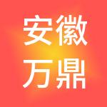安徽万鼎富邦控股有限公司