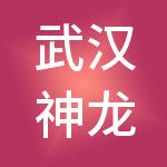 武汉神龙置业有限公司