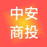 中安商投控股有限公司