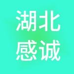 湖北感诚信息科技有限公司