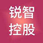 锐智控股集团有限公司