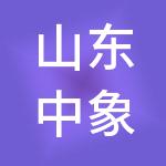 山东中象商业发展集团有限公司