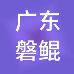 广东磐鲲控股集团有限公司