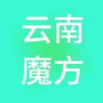 云南魔方商务服务集团有限公司
