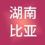 湖南比亚熊科技集团有限责任公司