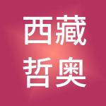 西藏哲奥新能源科技有限责任公司