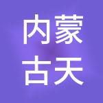 内蒙古天安控股集团有限公司