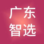 广东智选人力资源集团有限公司