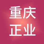 重庆正业投资有限公司