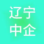 辽宁中企人力资源服务有限公司
