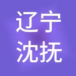 辽宁沈抚人力资源产业发展集团有限公司