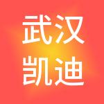 武汉凯迪电力环保有限公司