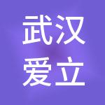 武汉爱立方儿童教育传媒股份有限公司