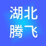 湖北腾飞人才股份有限公司