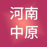 河南中原鼎盛云科技服务有限公司