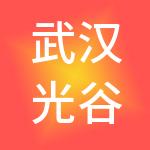 武汉光谷中华科技园投资有限公司
