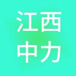 江西中力资源控股有限公司