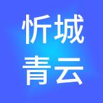 忻城青云矿业控股集团有限公司