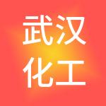 武汉化工新材料工业技术研究院有限责任公司