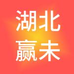 湖北赢未来科技有限公司