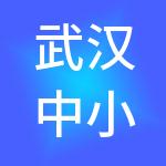 武汉中小企业信用融资担保有限公司