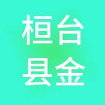 桓台县金岳城市建设投资有限公司