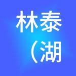 林泰（湖北）控股有限公司
