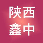 陕西鑫中创实业有限公司