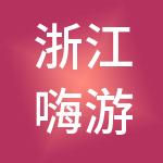 浙江嗨游科技咨询有限公司