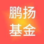 鹏扬基金管理有限公司