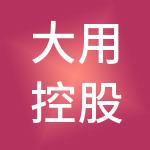 大用控股有限公司
