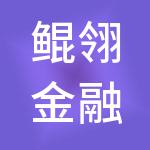 鲲翎金融（陕西）集团有限公司