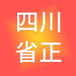 四川省正航人力资源管理有限公司