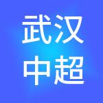 武汉中超电网建设监理有限公司