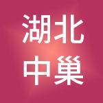 湖北中巢控股集团有限公司