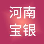 河南宝银环保科技集团有限公司