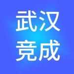 武汉竞成投资集团有限公司
