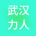 武汉力人投资有限公司