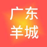 广东羊城人力资源管理有限公司