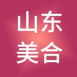 山东美合投资控股有限公司