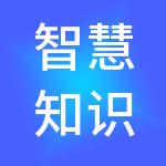 智慧知识产权有限公司