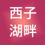 西子湖畔商务咨询有限公司