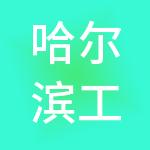 哈尔滨工大正元信息技术有限公司