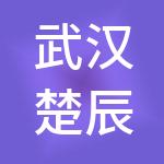 武汉楚辰新材料科技有限公司