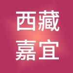 西藏嘉宜新能源科技有限公司