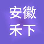 安徽禾下投资管理有限公司